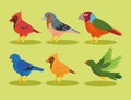 six birds species icons Royalty Free Stock Photo