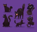 six black cats mascots Royalty Free Stock Photo