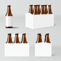 Clear Six Brown Beer Bottles White Pack