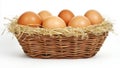 Six brown eggs arranged neatly in a straw-lined basket Royalty Free Stock Photo