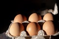 Six brown fresh eggs in grey paper container. High contrast picture. Rembrandt natural sunlight. Healthy protein eating Royalty Free Stock Photo