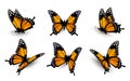 Six butterflies set. Royalty Free Stock Photo