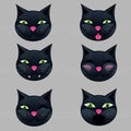Six cats faces emotion icon pack