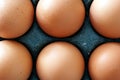 Six Chicken Eggs Royalty Free Stock Photo