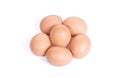 Six chicken eggs Royalty Free Stock Photo