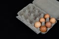 Six chicken eggs in a carton box, isolated on black mat background Royalty Free Stock Photo