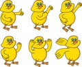 Six chicken little Royalty Free Stock Photo