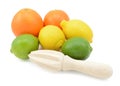 Six citrus fruits with a wooden reamer Royalty Free Stock Photo