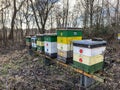 Six colored wooden bee hives in the garden Royalty Free Stock Photo