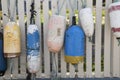 Six colorful boat buoys hanging on a white picket fence