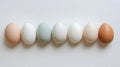 Six Colorful Eggs in a Row on White Background Royalty Free Stock Photo