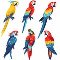 Six colorful parrots depicted, vibrant tropical birds illustration. Diverse positions macaws