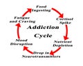 Components of Addiction Cycle