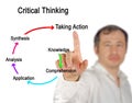 Components of Critical Thinking