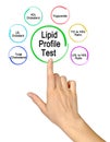 Components of Lipid Profile Test Royalty Free Stock Photo