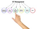 Components of IT Management