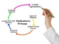 Components of Mediation Process