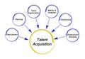 Talent Acquisition strategy