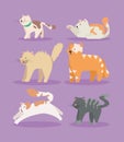 six cute cats mascots Royalty Free Stock Photo