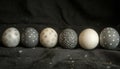 Six decorated Easter eggs in black, silver, and white with polka dots on a black cloth. Royalty Free Stock Photo