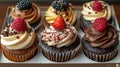 six delicious cupcakes in white box Royalty Free Stock Photo