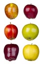 Six Different Apples Royalty Free Stock Photo