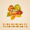 Six different types of fall leaves template