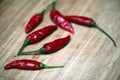 Six dried chillies Royalty Free Stock Photo