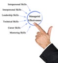 Drivers of Managerial Effectiveness