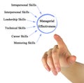 Drivers of Managerial Effectiveness