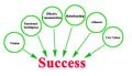 Drivers of Professional Success