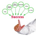 Drivers of Professional Success