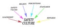 Drivers of Safety Culture