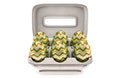 Six Easter Eggs In An Egg Carton Royalty Free Stock Photo