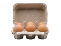 6 Eggs in egg carton