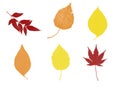 Six Fall Leaves