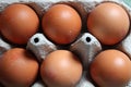 Six free range eggs Royalty Free Stock Photo