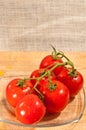 Six freshly picked vine ripened tomatoes Royalty Free Stock Photo