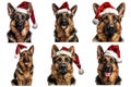 Six German Shepherd Dogs Wearing Santa Hats Royalty Free Stock Photo