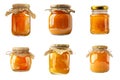 Six Glass Jars Filled with Orange Marmalade Royalty Free Stock Photo