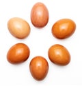Six 6, half a dozen raw and fresh eggs. Royalty Free Stock Photo