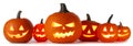 Halloween Pumpkins on white Royalty Free Stock Photo