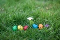 Six Hidden in the grass Easter eggs, which are painted in different colors Royalty Free Stock Photo