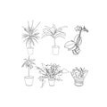 Six houseplant Dracaena, Anthurium, Orchid, Sansevieria circuit outlines