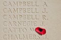 Six Inscribed names with Poppy