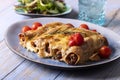 Six italian canneloni