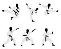 Six karateka silhouettes Royalty Free Stock Photo