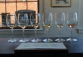 Six wine glasses set up in tasting room, Living Roots Winery, Rochester, New York, 2017
