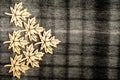 Six light brown wooden leaves on black and grey textured textile wool material background with vertical and horizontal stripes, on