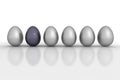 Six Metallic Eggs in a Line - Grey and Black